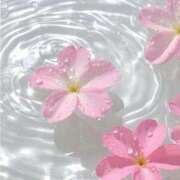 ヒメ日記 2026/03/01 18:30 投稿 あき ルピナス