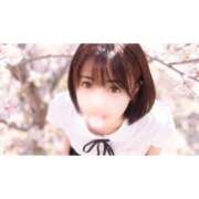 ヒメ日記 2026/04/09 16:15 投稿 あき ルピナス