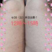 みみ【業界未経験】 急遽だけど⋯ 茨城水戸ちゃんこ