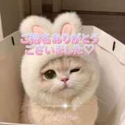 ヒメ日記 2025/12/09 21:01 投稿 はな 丸妻 厚木店