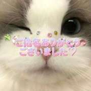 ヒメ日記 2025/12/09 21:32 投稿 はな 丸妻 厚木店