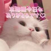 ヒメ日記 2025/12/18 19:43 投稿 はな 丸妻 厚木店