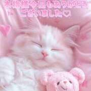 ヒメ日記 2025/12/29 20:09 投稿 はな 丸妻 厚木店