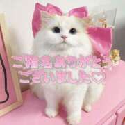 ヒメ日記 2025/12/29 20:31 投稿 はな 丸妻 厚木店