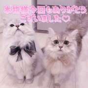 ヒメ日記 2025/12/29 20:52 投稿 はな 丸妻 厚木店