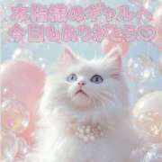 ヒメ日記 2026/01/05 16:52 投稿 はな 丸妻 厚木店