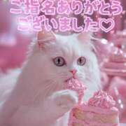 ヒメ日記 2026/01/06 16:06 投稿 はな 丸妻 厚木店