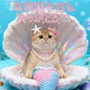 ヒメ日記 2026/01/10 20:57 投稿 はな 丸妻 厚木店