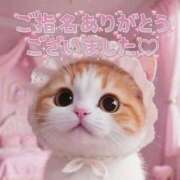 ヒメ日記 2026/01/22 16:25 投稿 はな 丸妻 厚木店