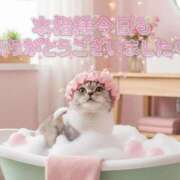 ヒメ日記 2026/01/28 12:42 投稿 はな 丸妻 厚木店