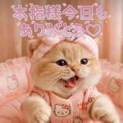 ヒメ日記 2026/01/30 22:49 投稿 はな 丸妻 厚木店