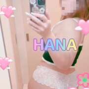 ヒメ日記 2026/02/20 10:17 投稿 はな 丸妻 厚木店