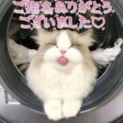 ヒメ日記 2026/04/11 15:30 投稿 はな 丸妻 厚木店