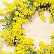 ヒメ日記 2025/12/11 23:58 投稿 はるな 花の都～人妻の都～ 延岡店