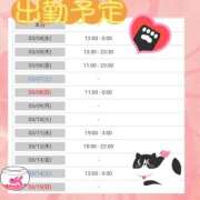 ヒメ日記 2026/03/03 19:47 投稿 わかば AVANCE福岡