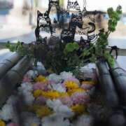 ヒメ日記 2026/03/07 22:47 投稿 わかば AVANCE福岡