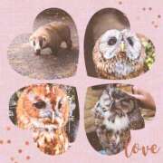 ヒメ日記 2026/03/10 09:43 投稿 わかば AVANCE福岡