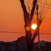 ヒメ日記 2026/03/11 18:15 投稿 わかば AVANCE福岡