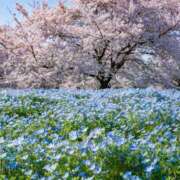 ヒメ日記 2026/04/13 01:11 投稿 わかば AVANCE福岡