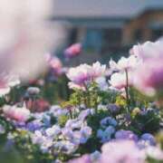 わかば アマーレのYさん✨ AVANCE福岡