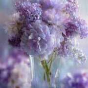 ヒメ日記 2026/04/17 23:06 投稿 わかば AVANCE福岡