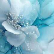 ヒメ日記 2026/04/17 23:19 投稿 わかば AVANCE福岡