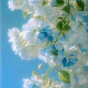 ヒメ日記 2026/04/17 23:26 投稿 わかば AVANCE福岡