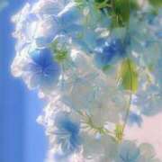 ヒメ日記 2026/04/21 12:29 投稿 わかば AVANCE福岡