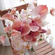 ヒメ日記 2026/04/21 12:57 投稿 わかば AVANCE福岡