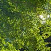 ヒメ日記 2026/06/10 08:36 投稿 わかば AVANCE福岡