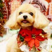 ヒメ日記 2025/12/11 19:47 投稿 あいか 素人巨乳ちゃんこ「東千葉店」