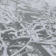 ヒメ日記 2025/12/26 15:02 投稿 (コスパ)日下部かなえ 風俗イキタイいわき店