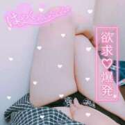 ヒメ日記 2025/12/30 13:14 投稿 麻衣子-まいこ 熟女10000円デリヘル 川崎