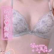 ヒメ日記 2026/01/13 17:47 投稿 麻衣子-まいこ 熟女10000円デリヘル 川崎