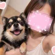 ヒメ日記 2026/05/11 09:29 投稿 るり banana heaven spa(バナナヘブンスパ)