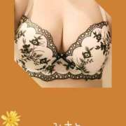 ヒメ日記 2026/01/20 19:39 投稿 みさと 木更津人妻花壇