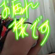 ヒメ日記 2026/07/04 01:08 投稿 まりか 西船人妻花壇