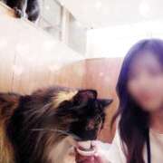 ヒメ日記 2026/01/29 00:15 投稿 ユキノ ヴィーナス(金津園)