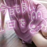 ヒメ日記 2026/02/03 12:21 投稿 ユキノ ヴィーナス(金津園)