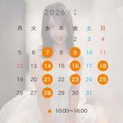 ヒメ日記 2025/12/22 22:17 投稿 のん Grace東京