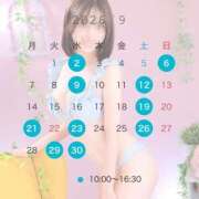 ヒメ日記 2026/08/23 12:17 投稿 のん Grace東京
