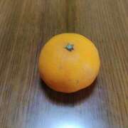 ヒメ日記 2025/12/27 10:42 投稿 ノア ヴィーナス(金津園)