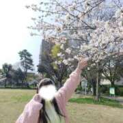 ヒメ日記 2026/04/08 10:27 投稿 ノア ヴィーナス(金津園)