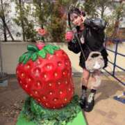 ヒメ日記 2026/03/22 17:31 投稿 女神きよは・唯一無二極嬢 Muteki Platinum