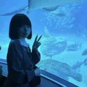 ヒメ日記 2026/07/24 20:41 投稿 菜暖/なのん・即即動画無料 Muteki Platinum