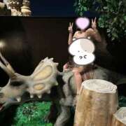 ヒメ日記 2026/10/11 12:32 投稿 桃/もも・即即動画無料 Muteki Platinum