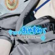 ヒメ日記 2026/02/09 07:43 投稿 はる 宮崎AROMA OLIVE