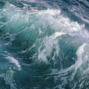 ヒメ日記 2026/01/27 16:21 投稿 由我/ゆいが・看板嬢候補 Muteki Platinum