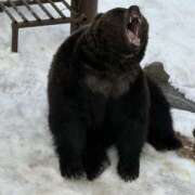 ヒメ日記 2026/03/20 15:41 投稿 由我/ゆいが・看板嬢候補 Muteki Platinum