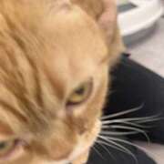 ヒメ日記 2026/03/22 07:01 投稿 由我/ゆいが・看板嬢候補 Muteki Platinum